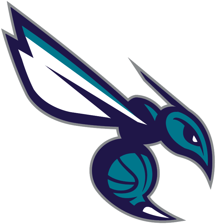 Charlotte Hornets 2014-Pres Alternate Logo iron on transfers for fabric version 4